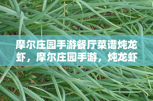 摩尔庄园手游餐厅菜谱炖龙虾,摩尔庄园手游,炖龙虾的美味探索 摩尔庄园手游餐厅菜谱炖龙虾,摩尔庄园手游,炖龙虾的美味探索