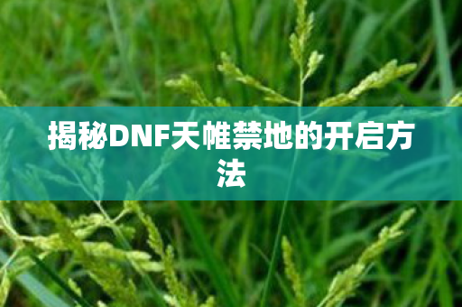 揭秘DNF天帷禁地的开启方法