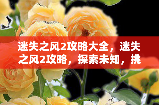 迷失之风2攻略大全，迷失之风2攻略，探索未知，挑战极限