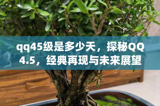 qq45级是多少天，探秘QQ4.5，经典再现与未来展望