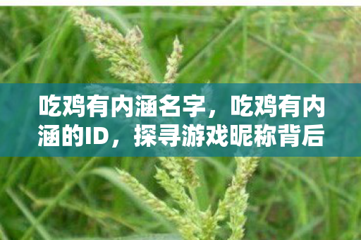 吃鸡有内涵名字，吃鸡有内涵的ID，探寻游戏昵称背后的深意