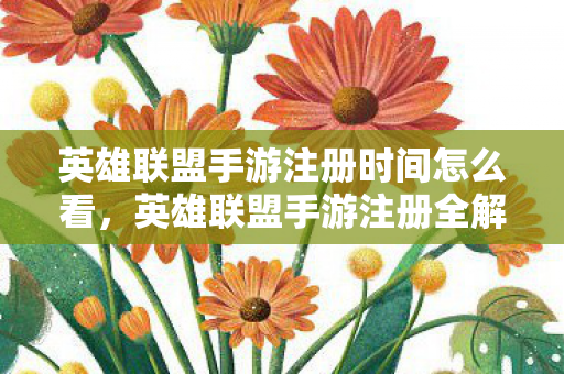 英雄联盟手游注册时间怎么看，英雄联盟手游注册全解析，轻松上手，畅游峡谷