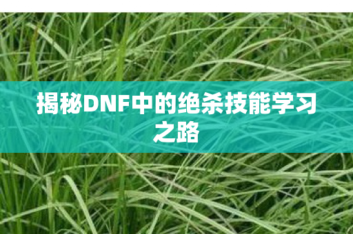 揭秘DNF中的绝杀技能学习之路