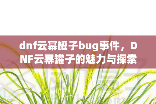 dnf云幂罐子bug事件,DNF云幂罐子的魅力与探索 dnf云幂罐子bug事件,DNF云幂罐子的魅力与探索