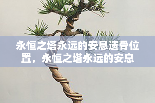 永恒之塔永远的安息遗骨位置，永恒之塔永远的安息