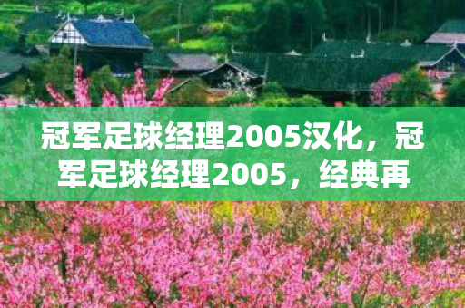 冠军足球经理2005汉化,冠军足球经理2005,经典再现,策略与激情的碰撞 冠军足球经理2005汉化,冠军足球经理2005,经典再现,策略与激情的碰撞