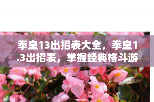 拳皇13出招表大全,拳皇1.3出招表,掌握经典格斗游戏的精髓 拳皇13出招表大全,拳皇1.3出招表,掌握经典格斗游戏的精髓