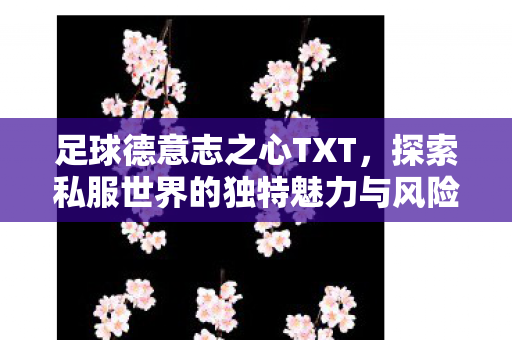 足球德意志之心TXT，探索私服世界的独特魅力与风险
