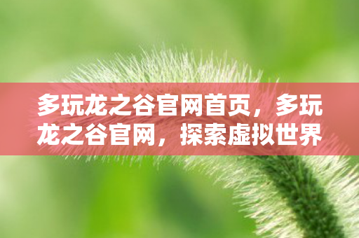 多玩龙之谷官网首页，多玩龙之谷官网，探索虚拟世界的无限可能