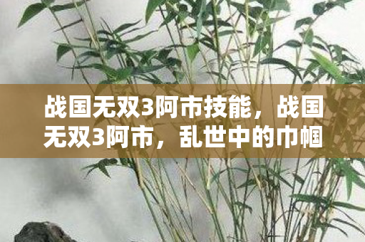 战国无双3阿市技能，战国无双3阿市，乱世中的巾帼英雄