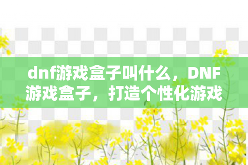 dnf游戏盒子叫什么，DNF游戏盒子，打造个性化游戏体验的必备神器