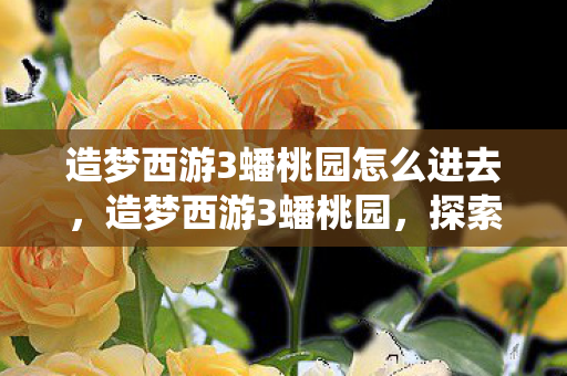 造梦西游3蟠桃园怎么进去，造梦西游3蟠桃园，探索神秘仙境，解锁无限可能