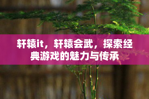 轩辕it,轩辕会武,探索经典游戏的魅力与传承 轩辕it,轩辕会武,探索经典游戏的魅力与传承