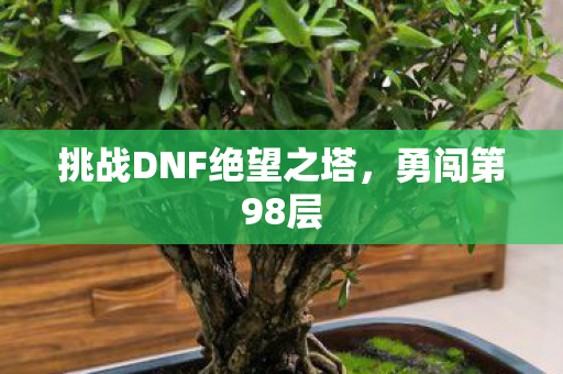 挑战DNF绝望之塔，勇闯第98层