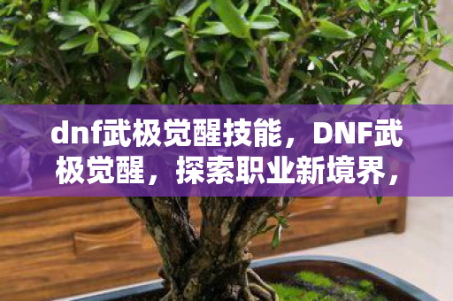 dnf武极觉醒技能，DNF武极觉醒，探索职业新境界，体验极致战斗快感