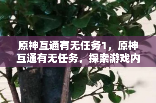 原神互通有无任务1，原神互通有无任务，探索游戏内外的资源共享与社交互动