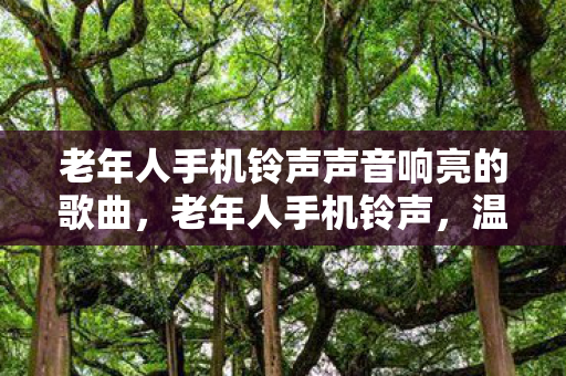 老年人手机铃声声音响亮的歌曲,老年人手机铃声,温馨旋律,传递关怀 老年人手机铃声声音响亮的歌曲,老年人手机铃声,温馨旋律,传递关怀
