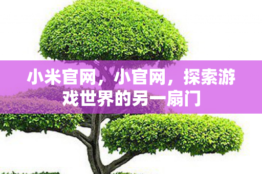 小米官网，小官网，探索游戏世界的另一扇门