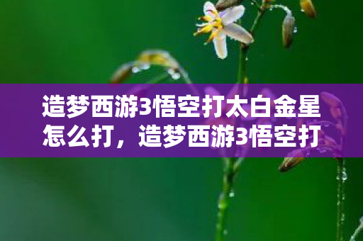 造梦西游3悟空打太白金星怎么打,造梦西游3悟空打太白金星,一场跨越时空的冒险对决 造梦西游3悟空打太白金星怎么打,造梦西游3悟空打太白金星,一场跨越时空的冒险对决