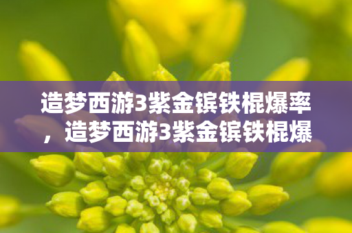 造梦西游3紫金镔铁棍爆率，造梦西游3紫金镔铁棍爆点，解锁隐藏属性与打造神器之路