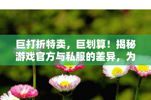 巨打折特卖,巨划算!揭秘游戏官方与私服的差异,为何私服更受玩家青睐? 巨打折特卖,巨划算!揭秘游戏官方与私服的差异,为何私服更受玩家青睐?