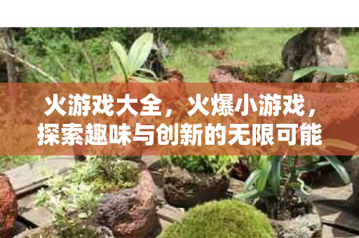 火游戏大全，火爆小游戏，探索趣味与创新的无限可能