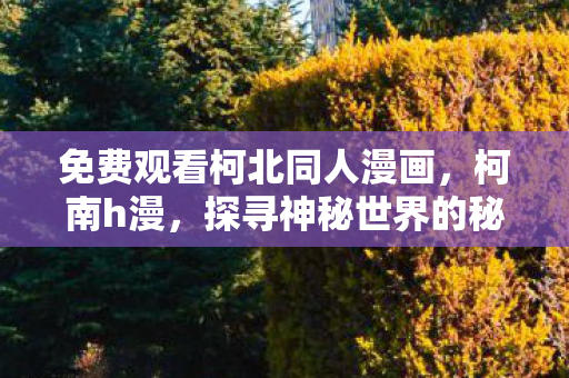 免费观看柯北同人漫画，柯南h漫，探寻神秘世界的秘密