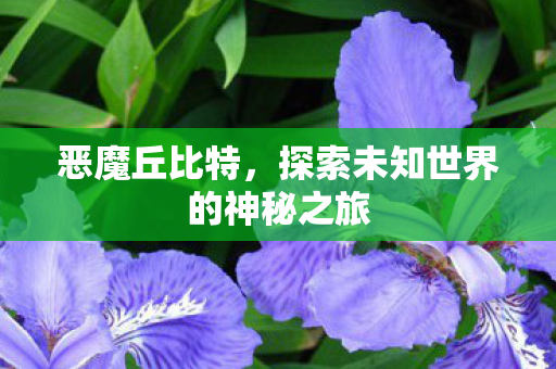 恶魔丘比特，探索未知世界的神秘之旅