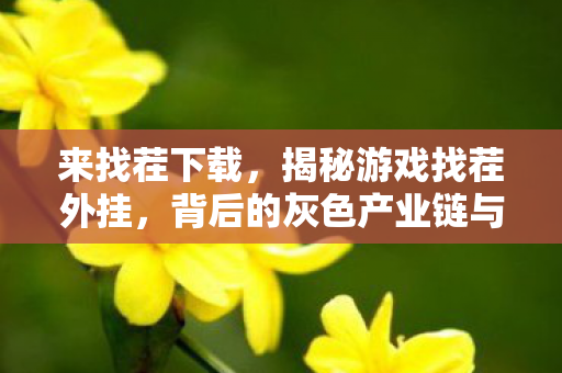 来找茬下载，揭秘游戏找茬外挂，背后的灰色产业链与玩家权益