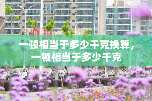 一顿相当于多少千克换算,一顿相当于多少千克 一顿相当于多少千克换算,一顿相当于多少千克