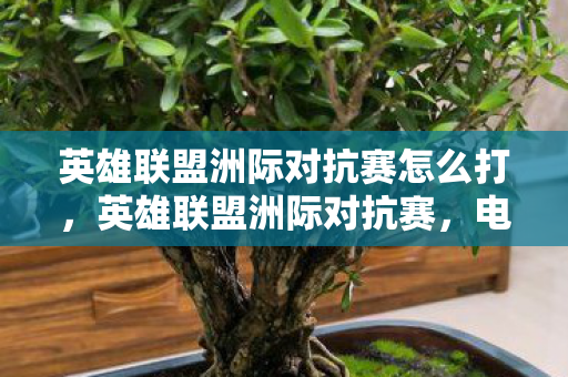 英雄联盟洲际对抗赛怎么打，英雄联盟洲际对抗赛，电竞盛宴的激情碰撞