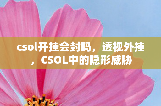 csol开挂会封吗，透视外挂，CSOL中的隐形威胁