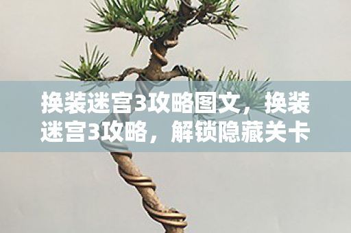 换装迷宫3攻略图文，换装迷宫3攻略，解锁隐藏关卡与角色全解析