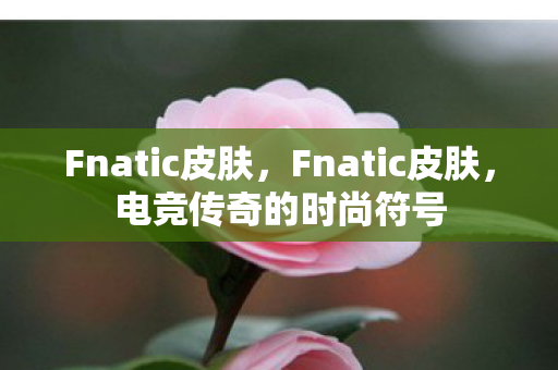 Fnatic皮肤,Fnatic皮肤,电竞传奇的时尚符号 Fnatic皮肤,Fnatic皮肤,电竞传奇的时尚符号