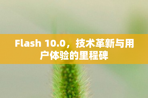 Flash 10.0，技术革新与用户体验的里程碑