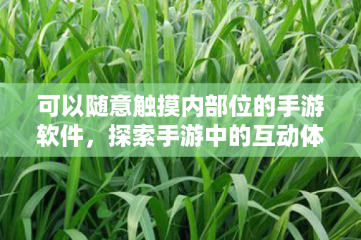可以随意触摸内部位的手游软件，探索手游中的互动体验，触摸内部位的新玩法