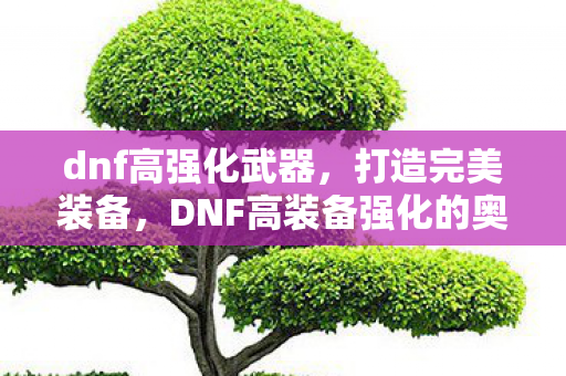 dnf高强化武器，打造完美装备，DNF高装备强化的奥秘