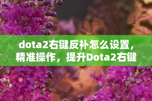 dota2右键反补怎么设置,精准操作,提升Dota2右键反补技巧 dota2右键反补怎么设置,精准操作,提升Dota2右键反补技巧