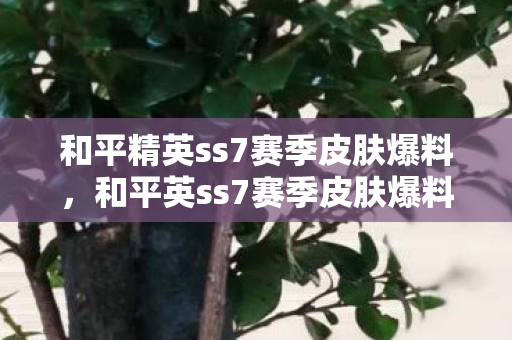 和平精英ss7赛季皮肤爆料,和平英ss7赛季皮肤爆料,全新主题与炫酷特效即将登场 和平精英ss7赛季皮肤爆料,和平英ss7赛季皮肤爆料,全新主题与炫酷特效即将登场
