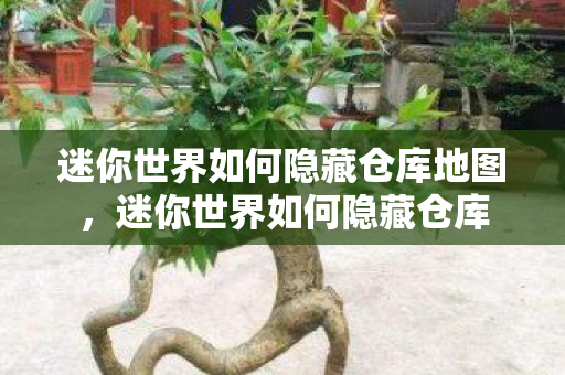 迷你世界如何隐藏仓库地图,迷你世界如何隐藏仓库 迷你世界如何隐藏仓库地图,迷你世界如何隐藏仓库