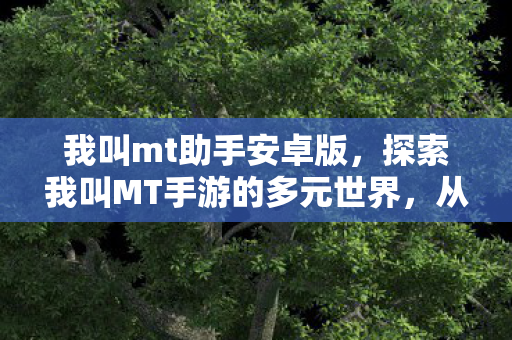 我叫mt助手安卓版，探索我叫MT手游的多元世界，从官方到玩家社区的精彩纷呈