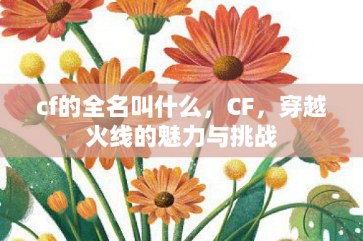 cf的全名叫什么，CF，穿越火线的魅力与挑战