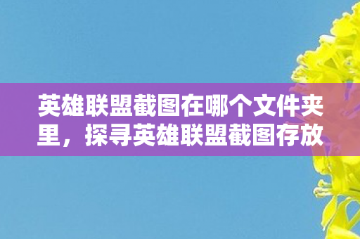 英雄联盟截图在哪个文件夹里，探寻英雄联盟截图存放之谜，揭秘官方截图文件夹