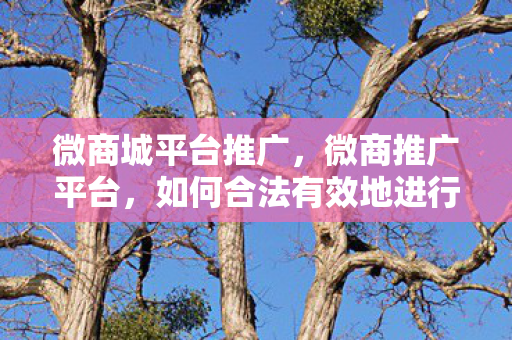 微商城平台推广，微商推广平台，如何合法有效地进行产品推广