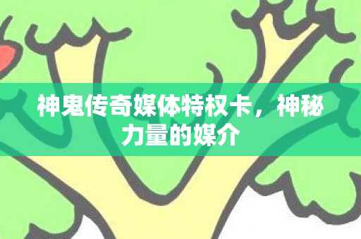 神鬼传奇媒体特权卡，神秘力量的媒介