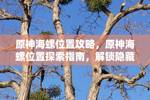原神海螺位置攻略，原神海螺位置探索指南，解锁隐藏宝藏的秘诀