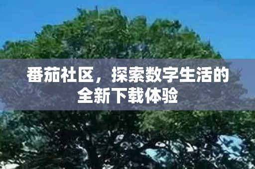 番茄社区，探索数字生活的全新下载体验