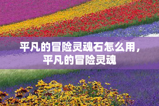 平凡的冒险灵魂石怎么用，平凡的冒险灵魂