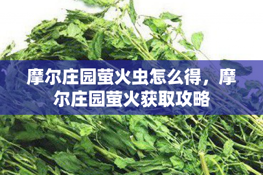 摩尔庄园萤火虫怎么得,摩尔庄园萤火获取攻略 摩尔庄园萤火虫怎么得,摩尔庄园萤火获取攻略