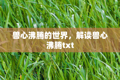 兽心沸腾的世界，解读兽心沸腾txt